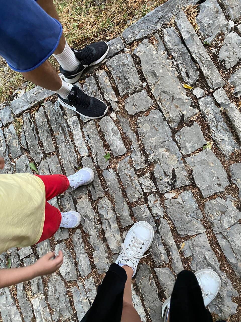 Vertical photo