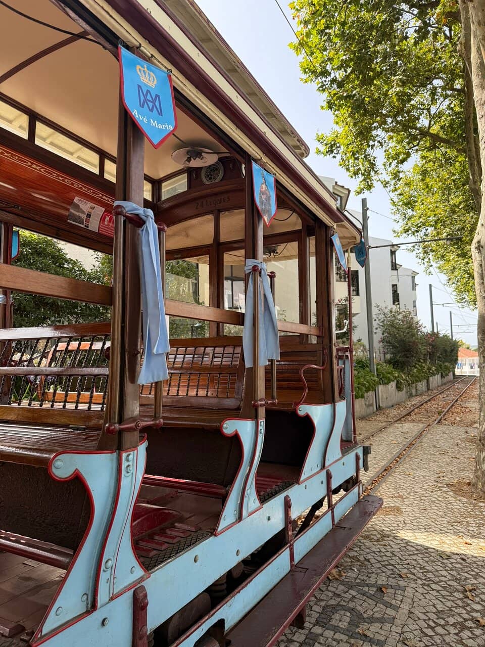 Coastal Scenery Views