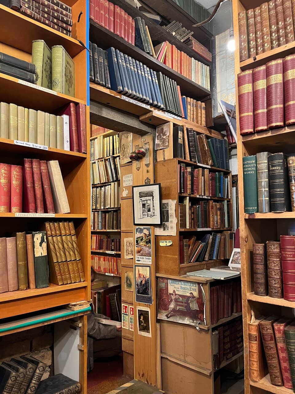 The Bookish Maze