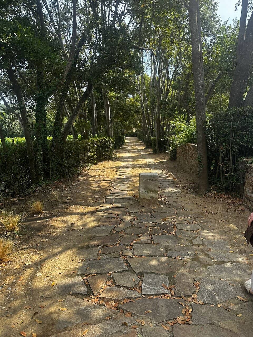 Château Grounds