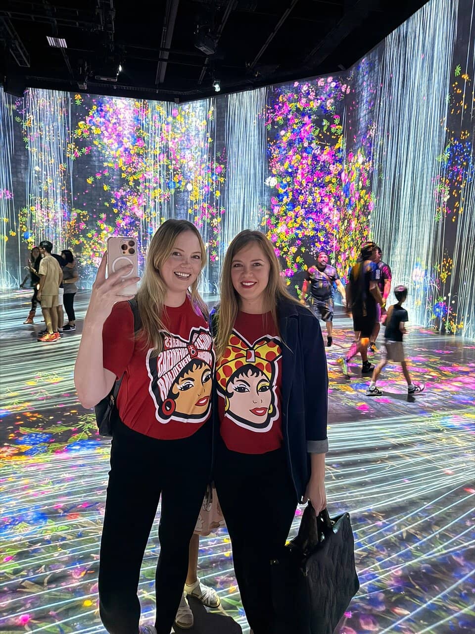 Mirror Maze
