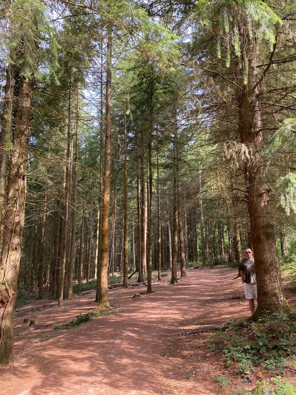 Adventure Play Area
