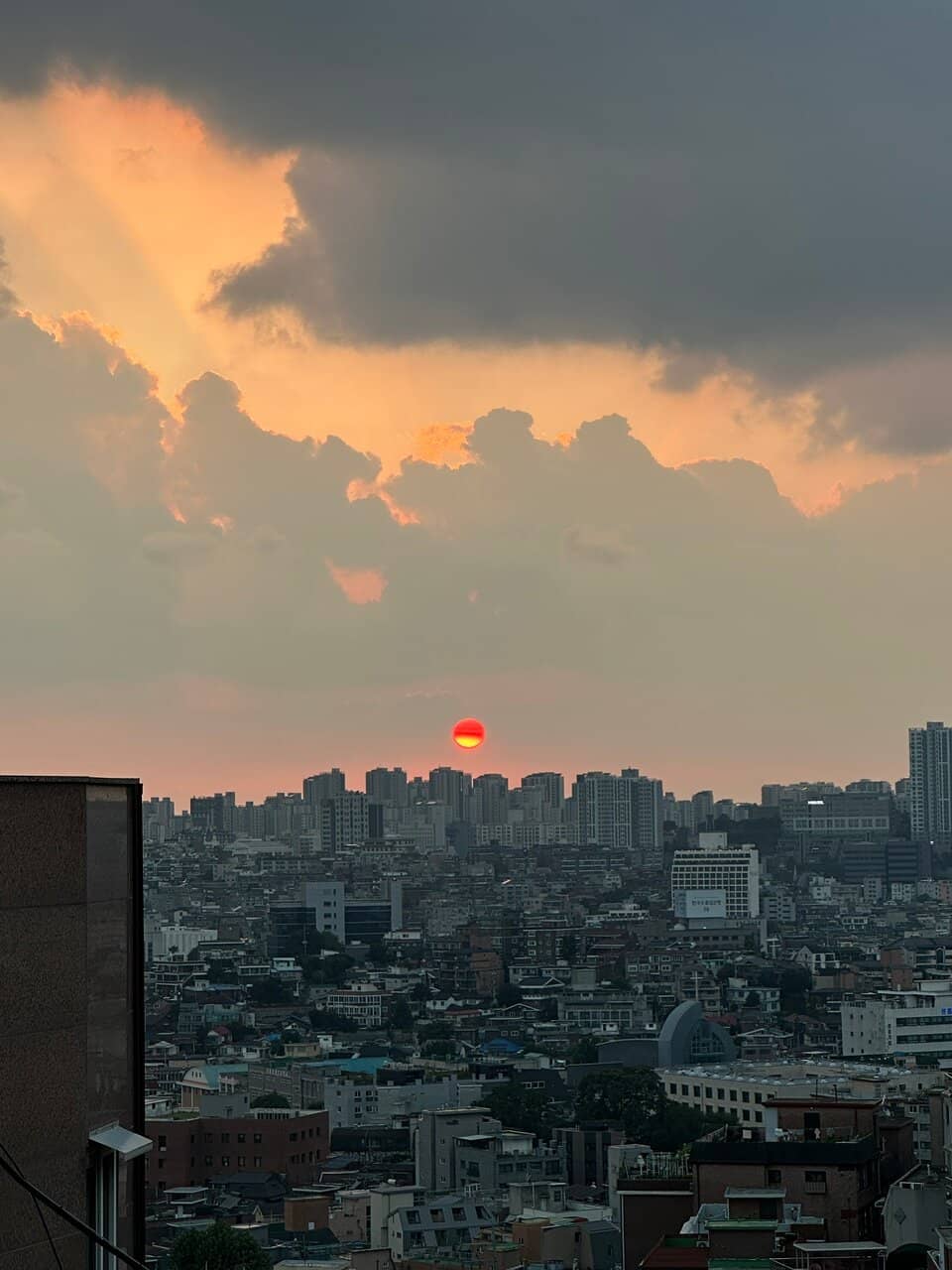 Rooftop Views of Namsan Tower