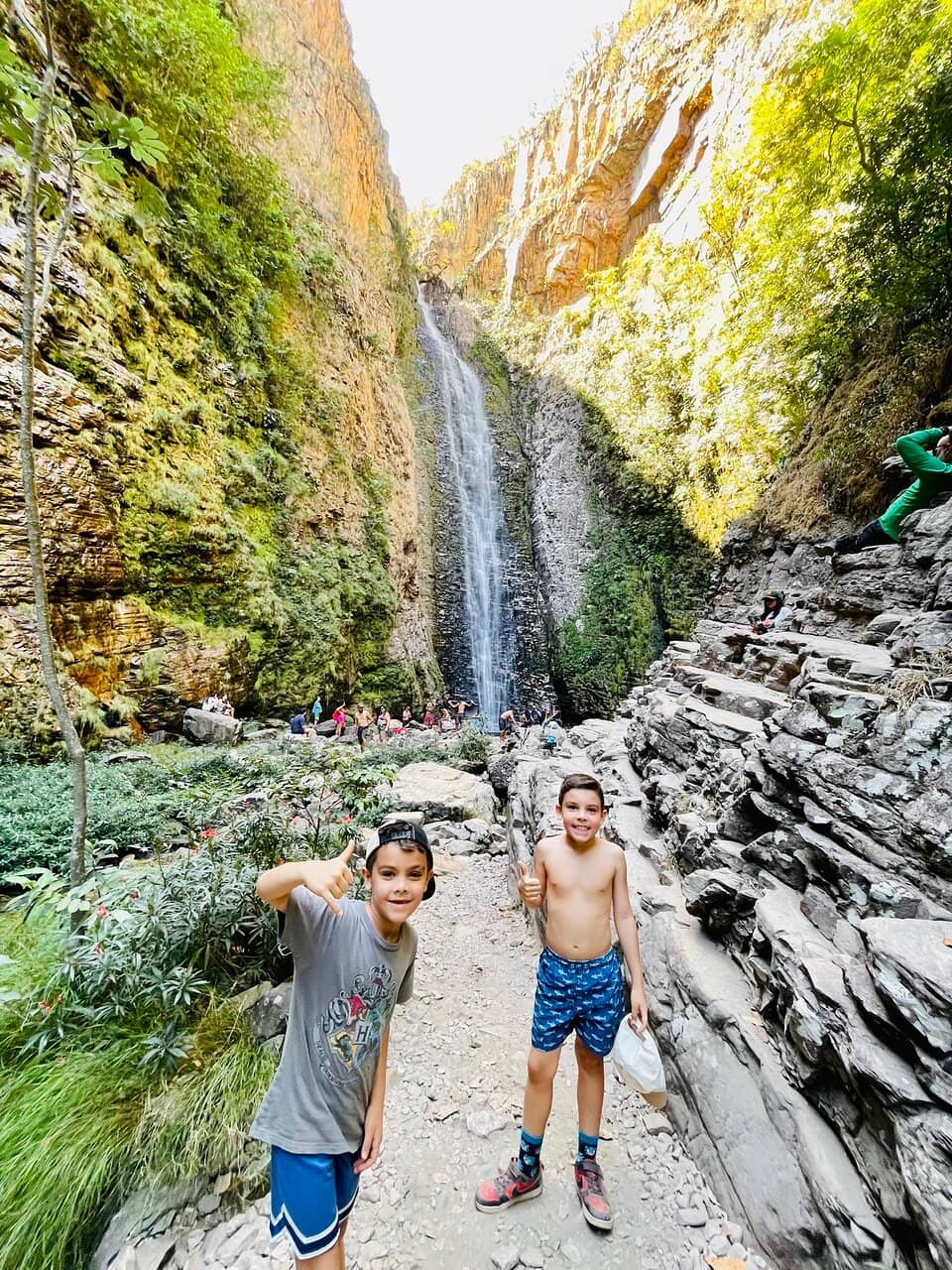 Jungle Trail