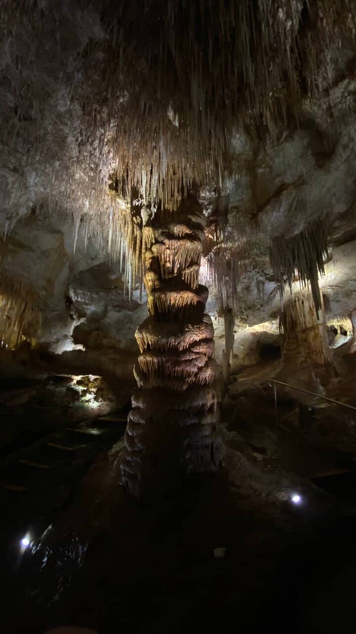 Unique Shell and Seal Bone Deposits
