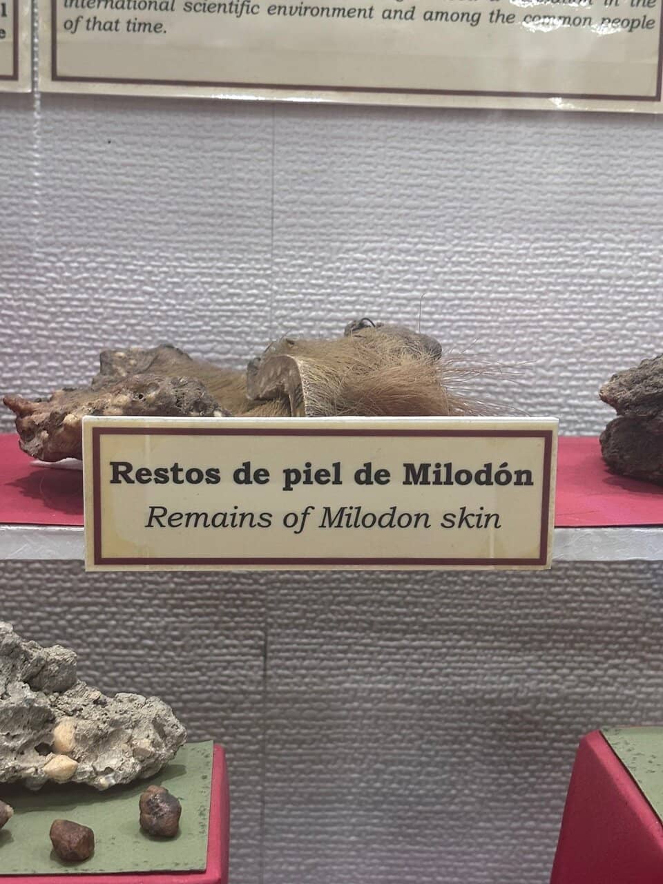 Unique Mutations & Mummies