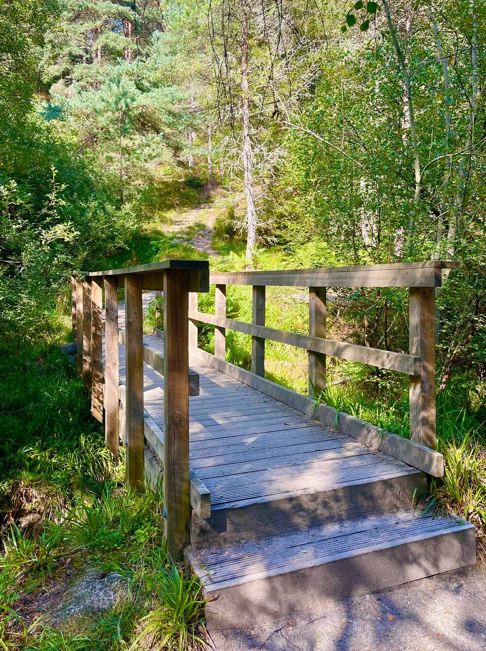 Pictish Stone Carvings