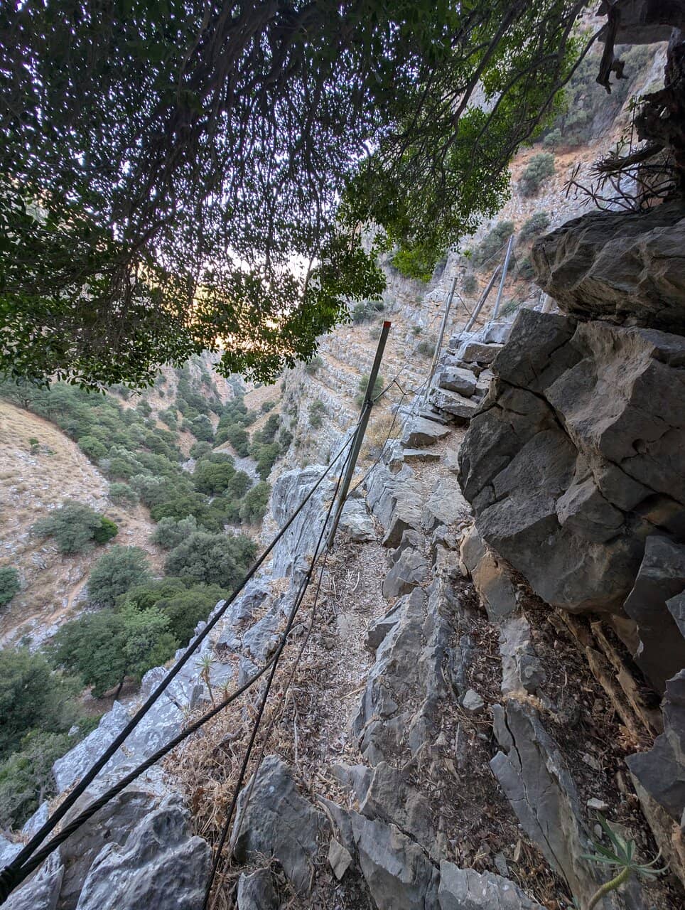 Vertical photo