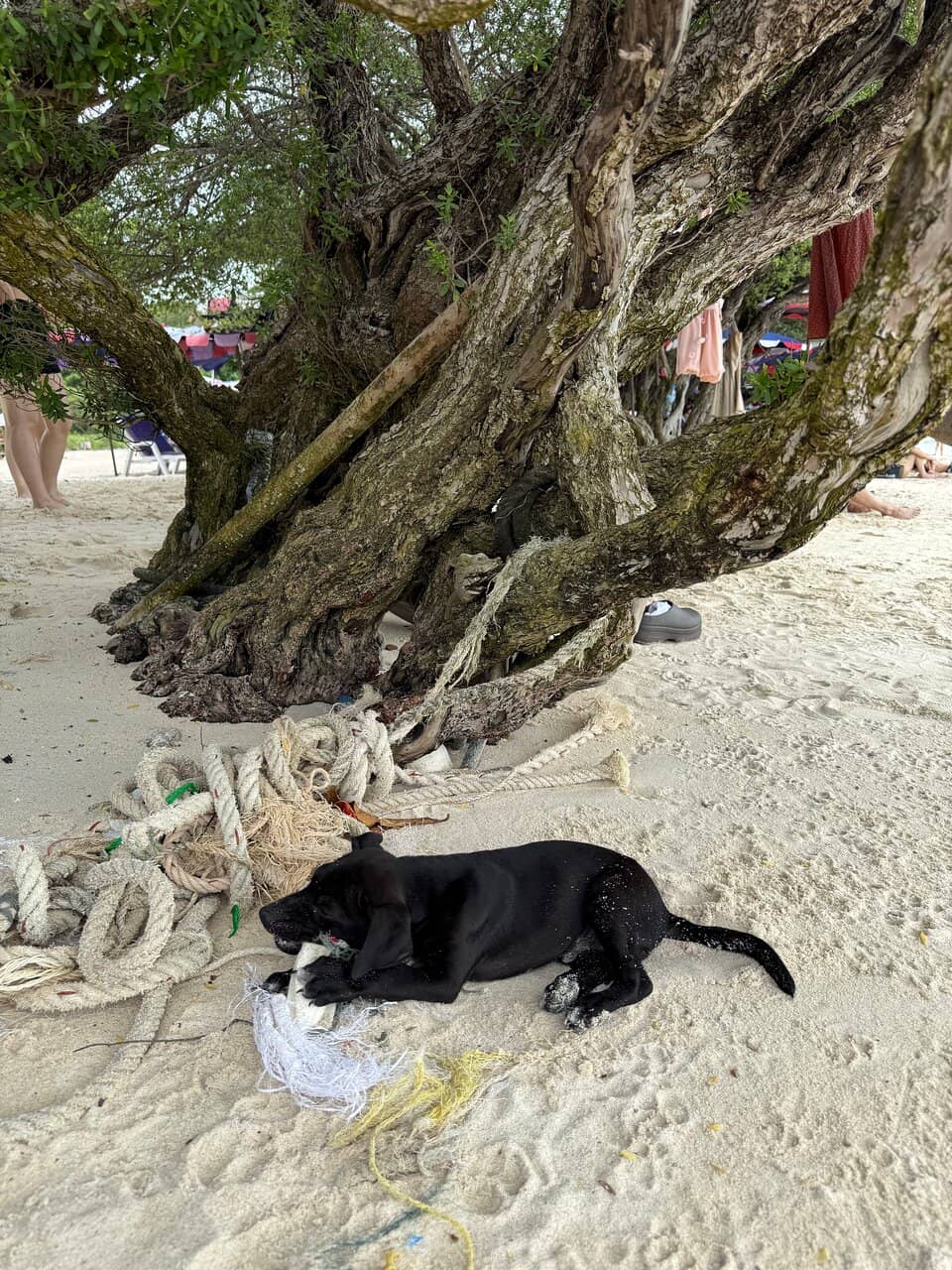 Stunning Sunset Views