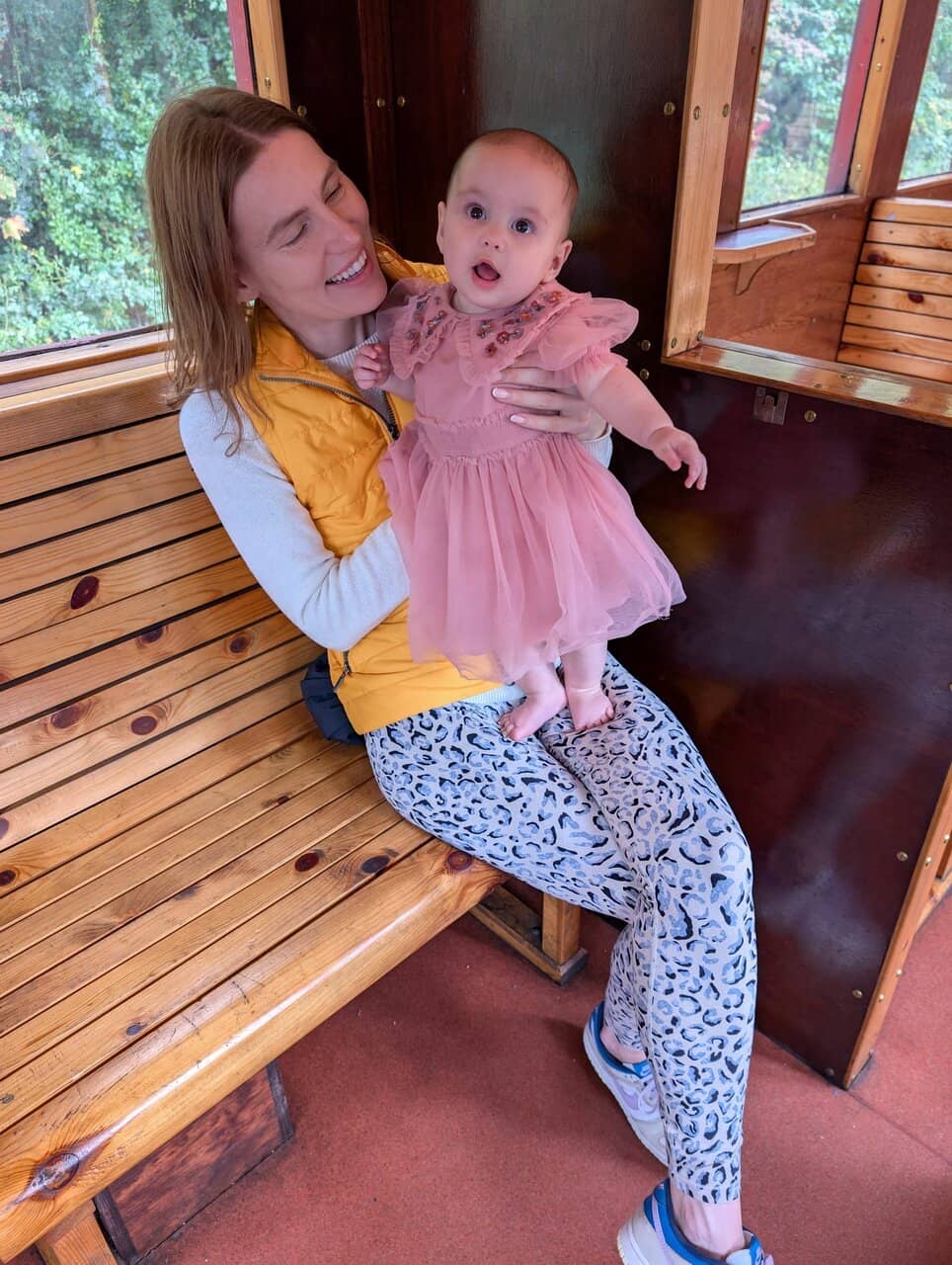 Locomotive Collection & Museum