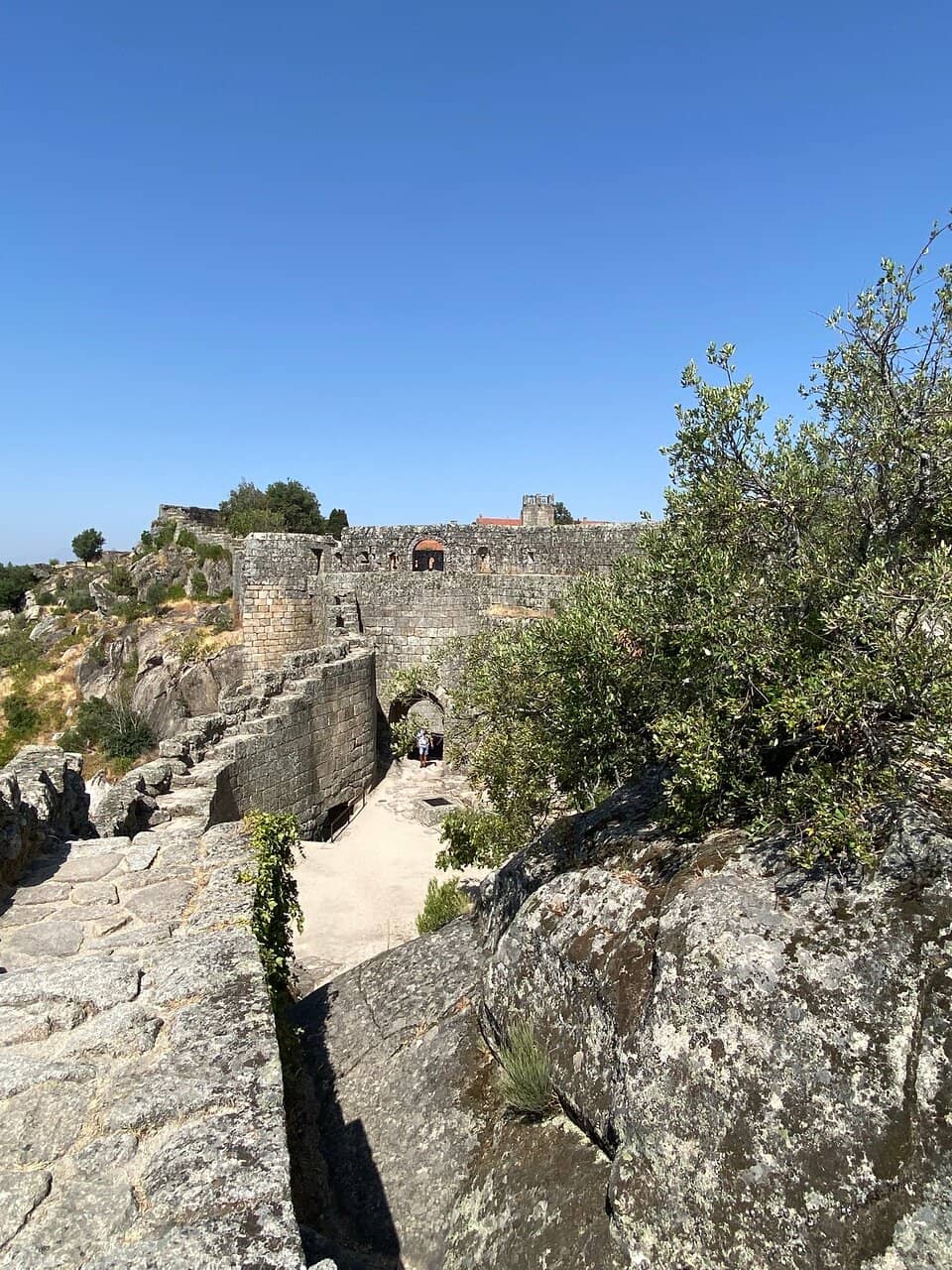 Vertical photo