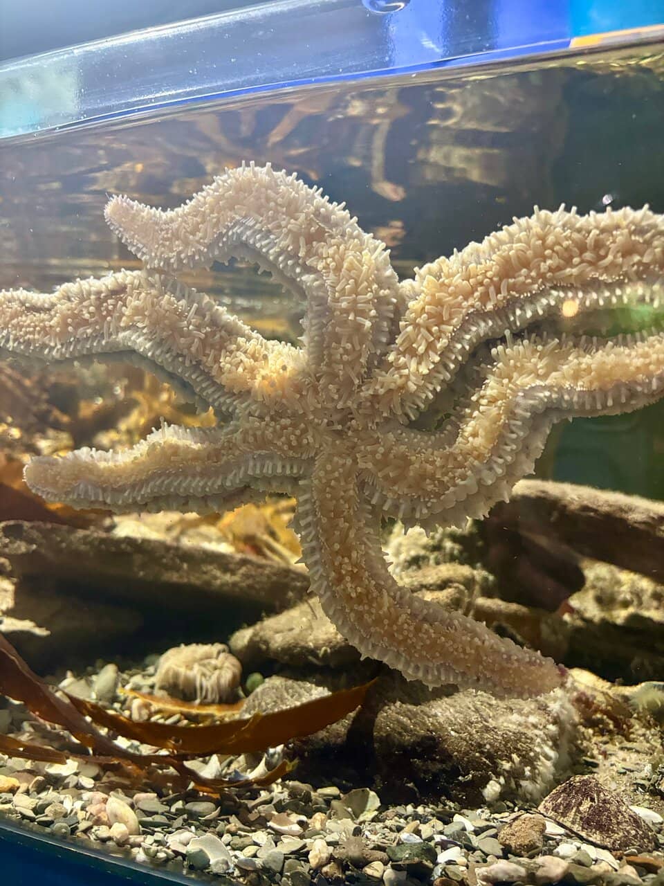 Harbour Views & Cafe