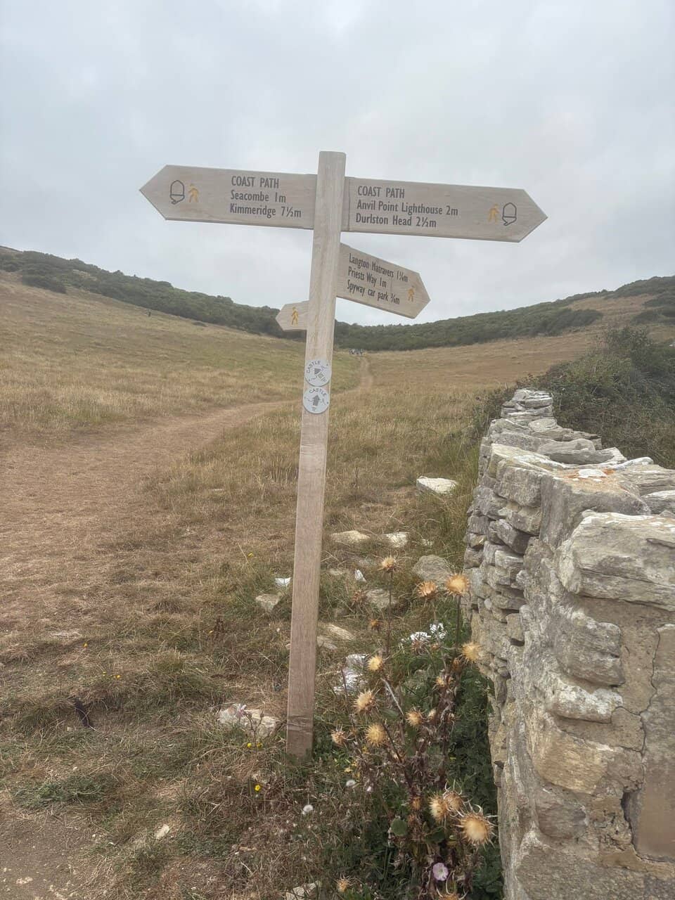 Jurassic Coast Views