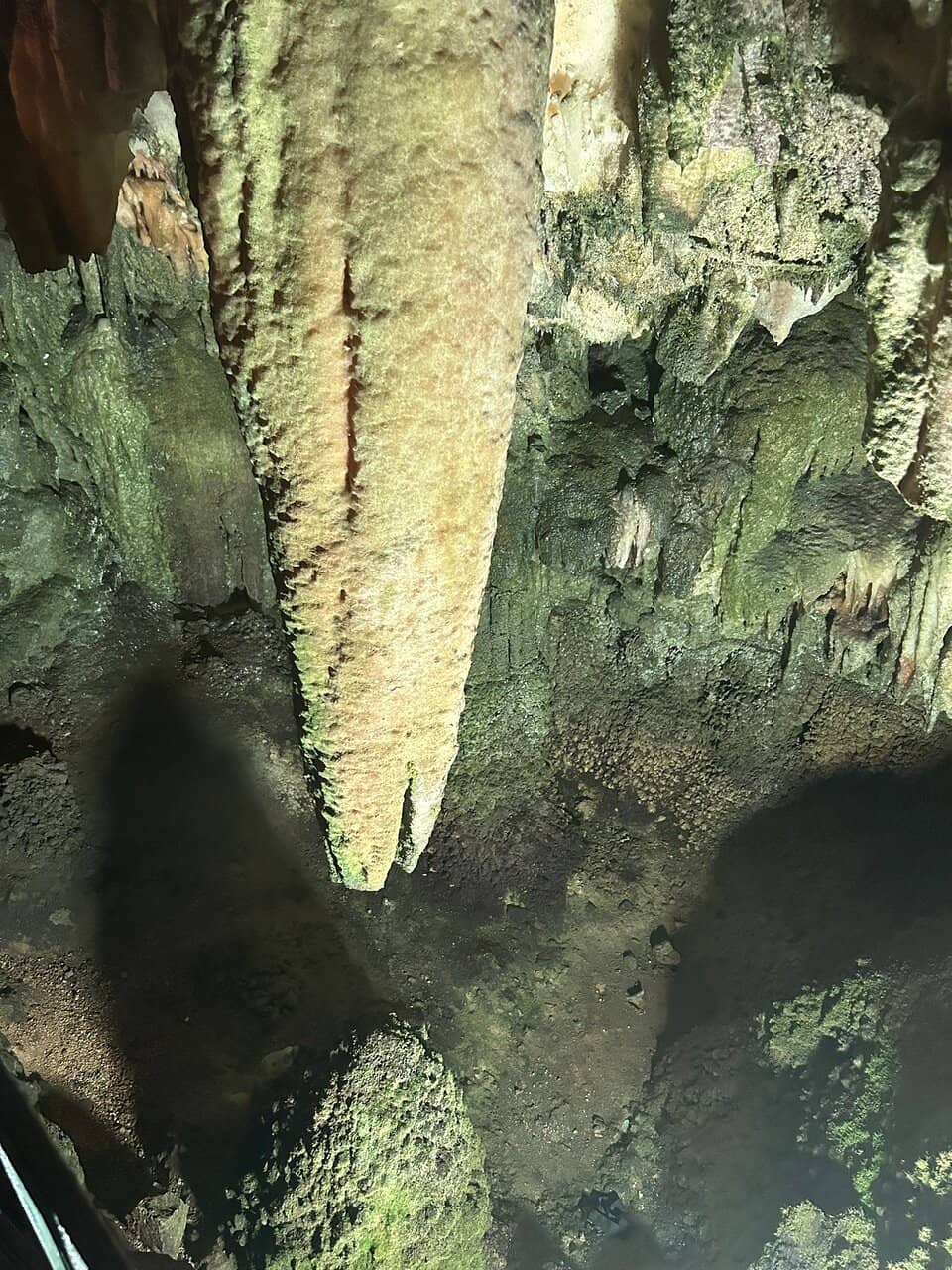 Natural Acoustics
