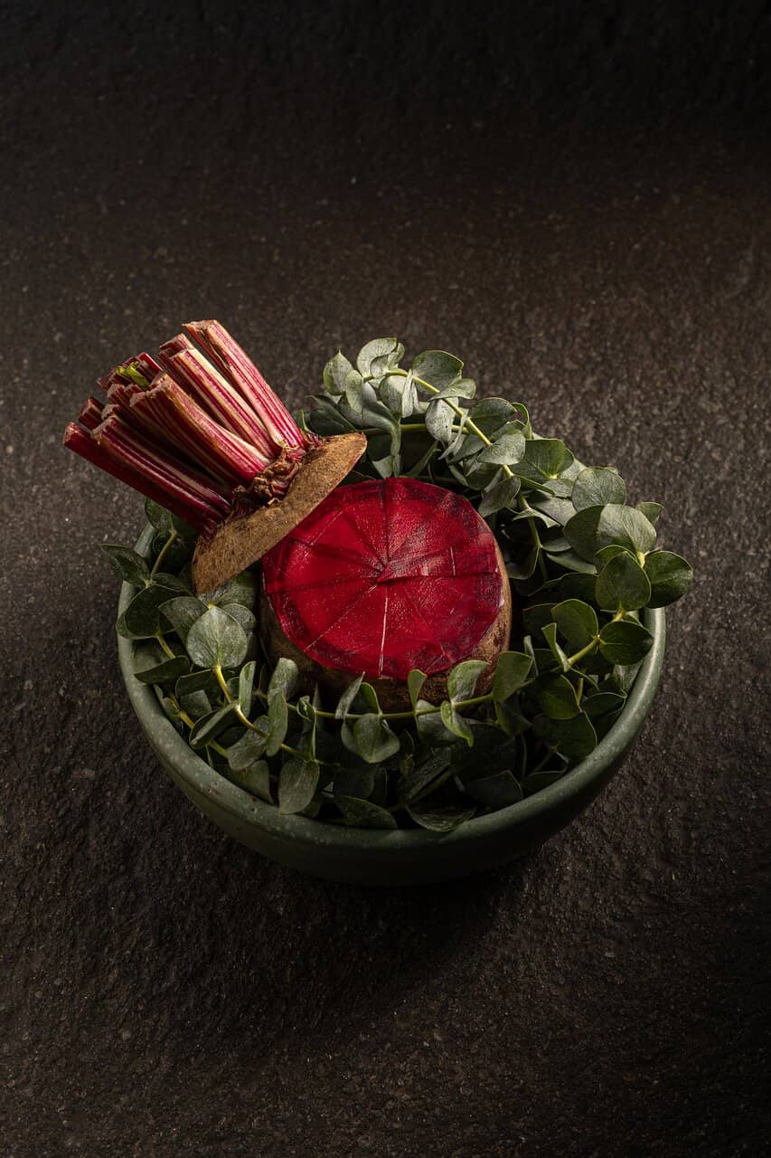 Exceptional Pisco Bar