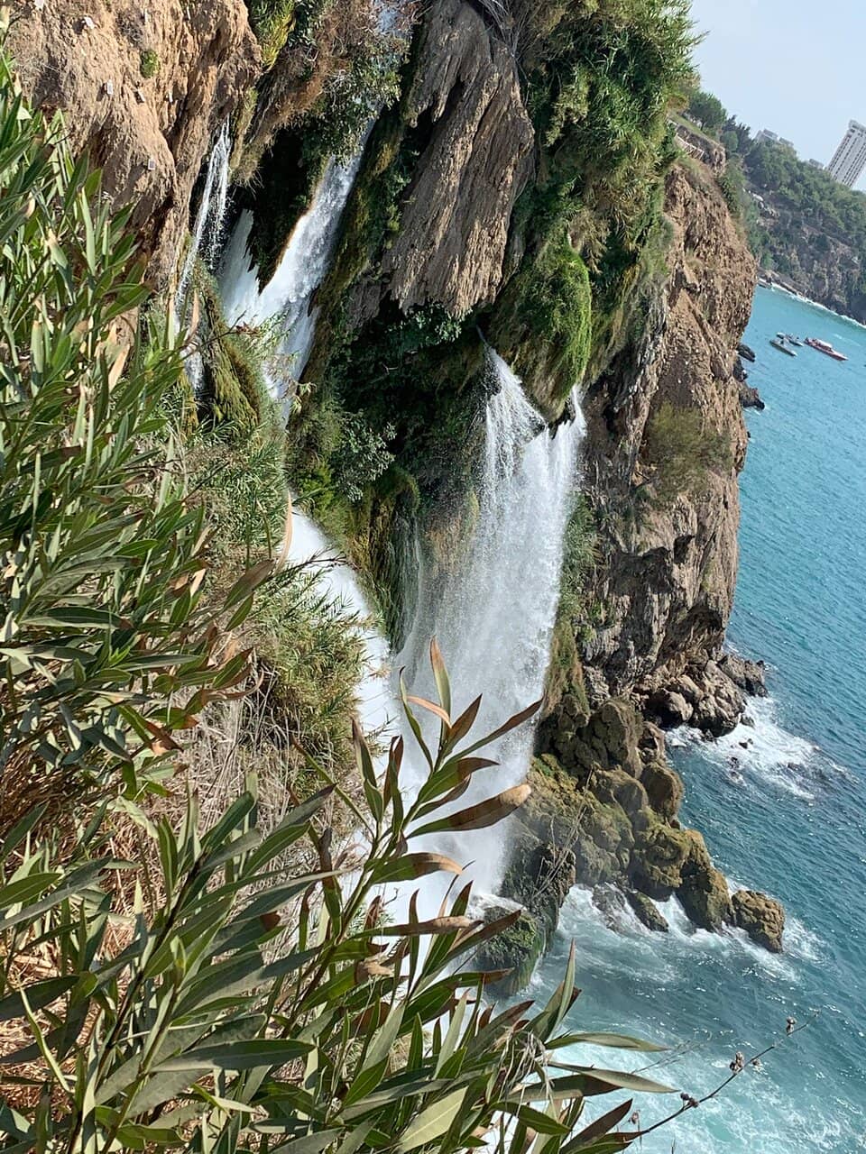 Vertical photo