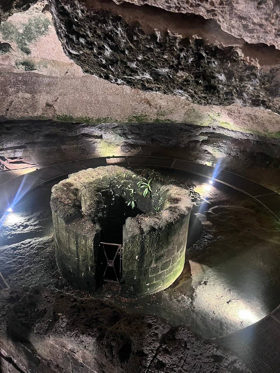 Primitivo di Manduria Wine Region