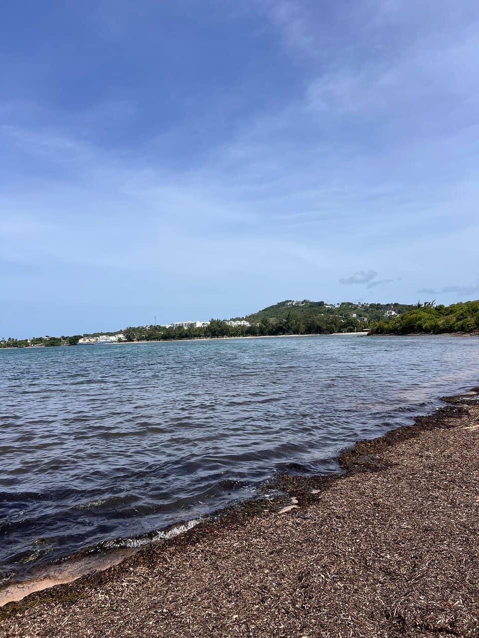 Scenic Coastal Hike