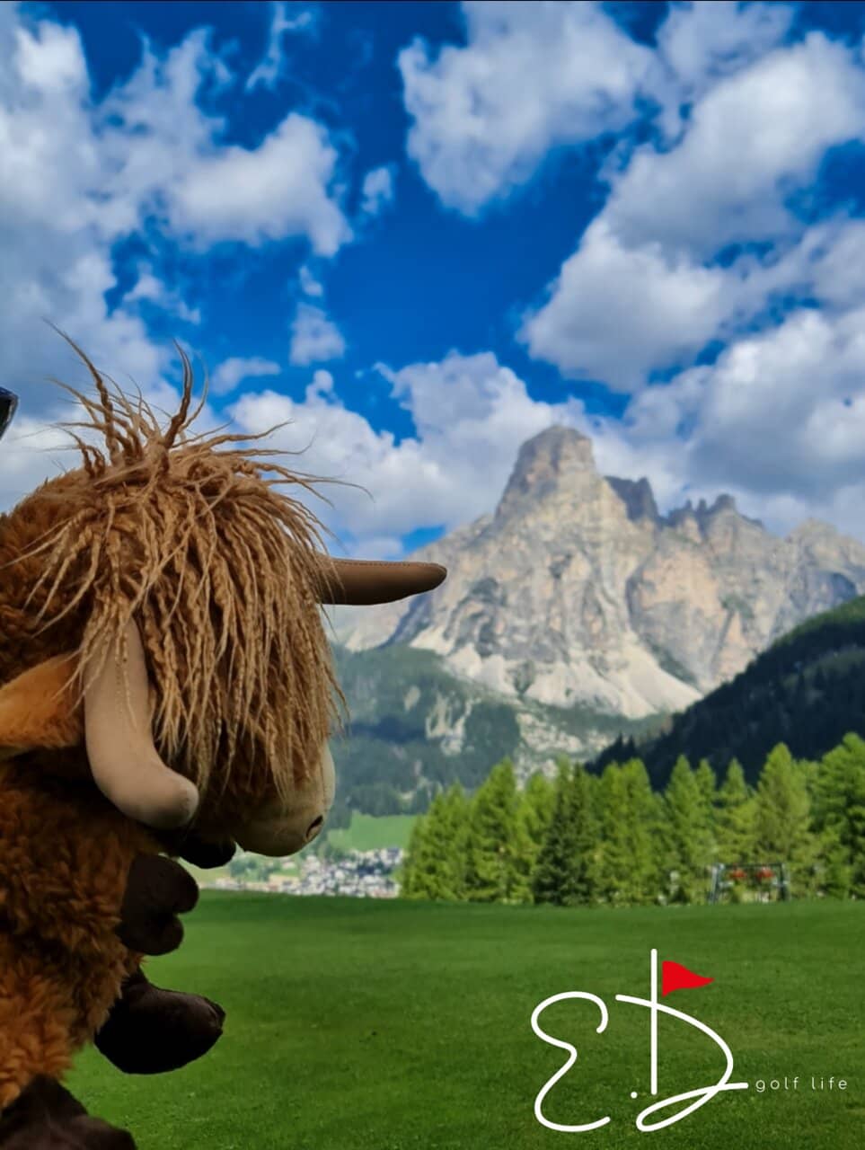 Impeccably Maintained Greens