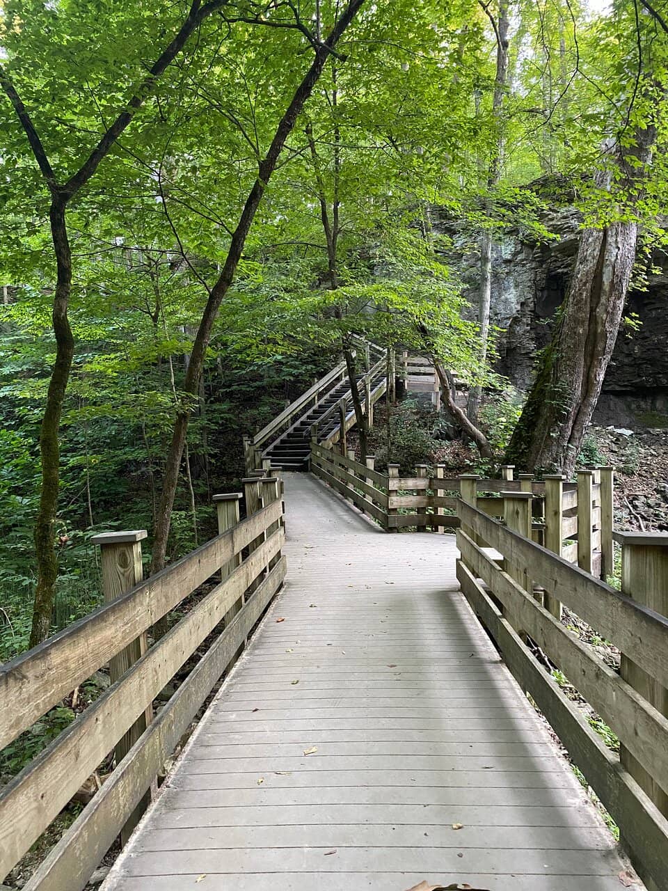 Scenic Hiking Trails