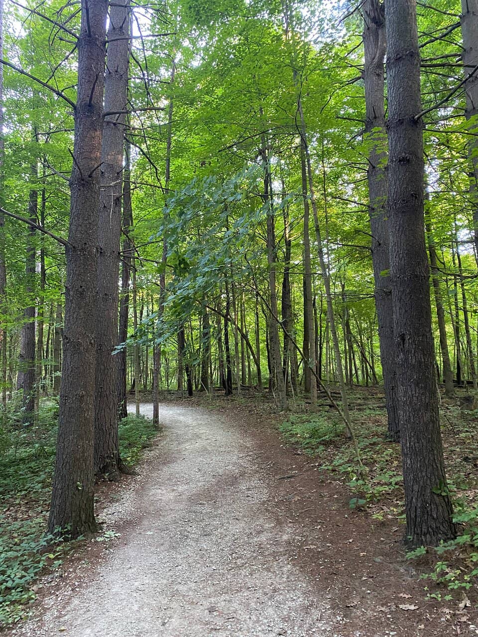 Vertical photo