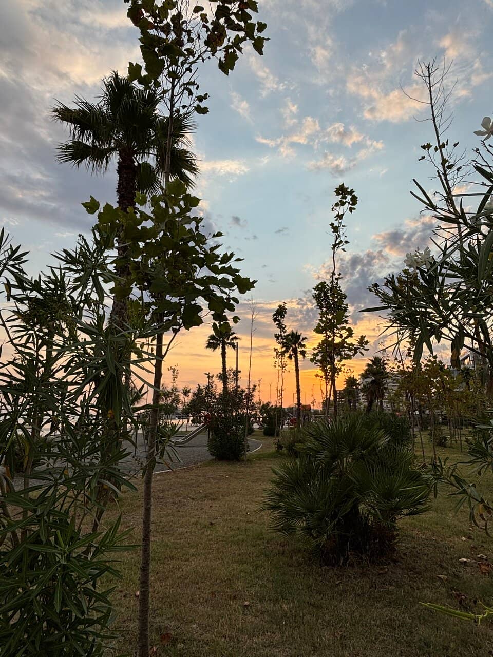 Vertical photo