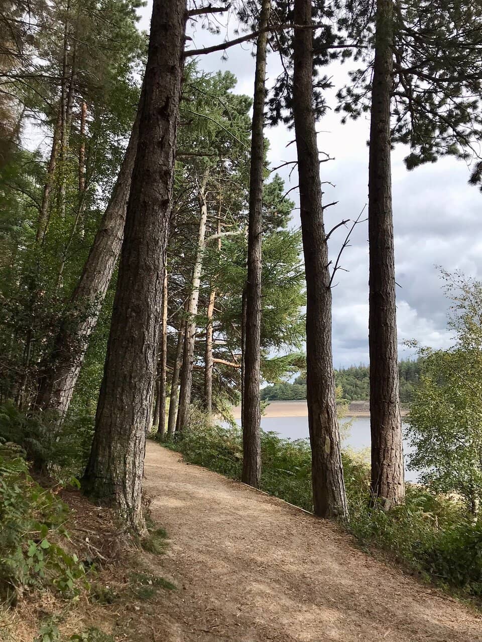 Woodland Trails