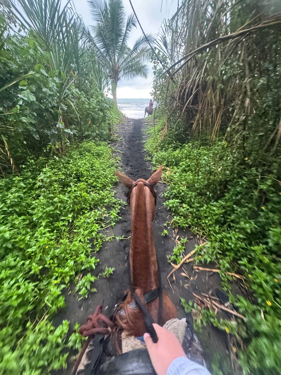 Sunset Ride