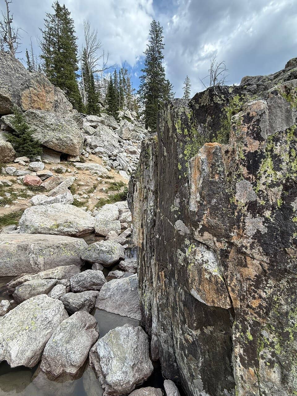 Vertical photo