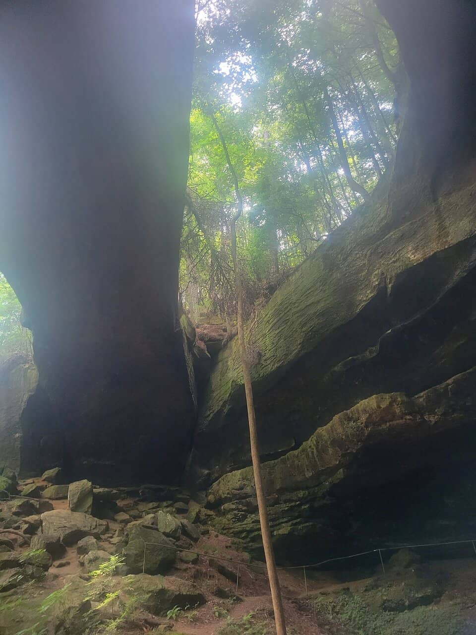 Rainforest Circuit Walk