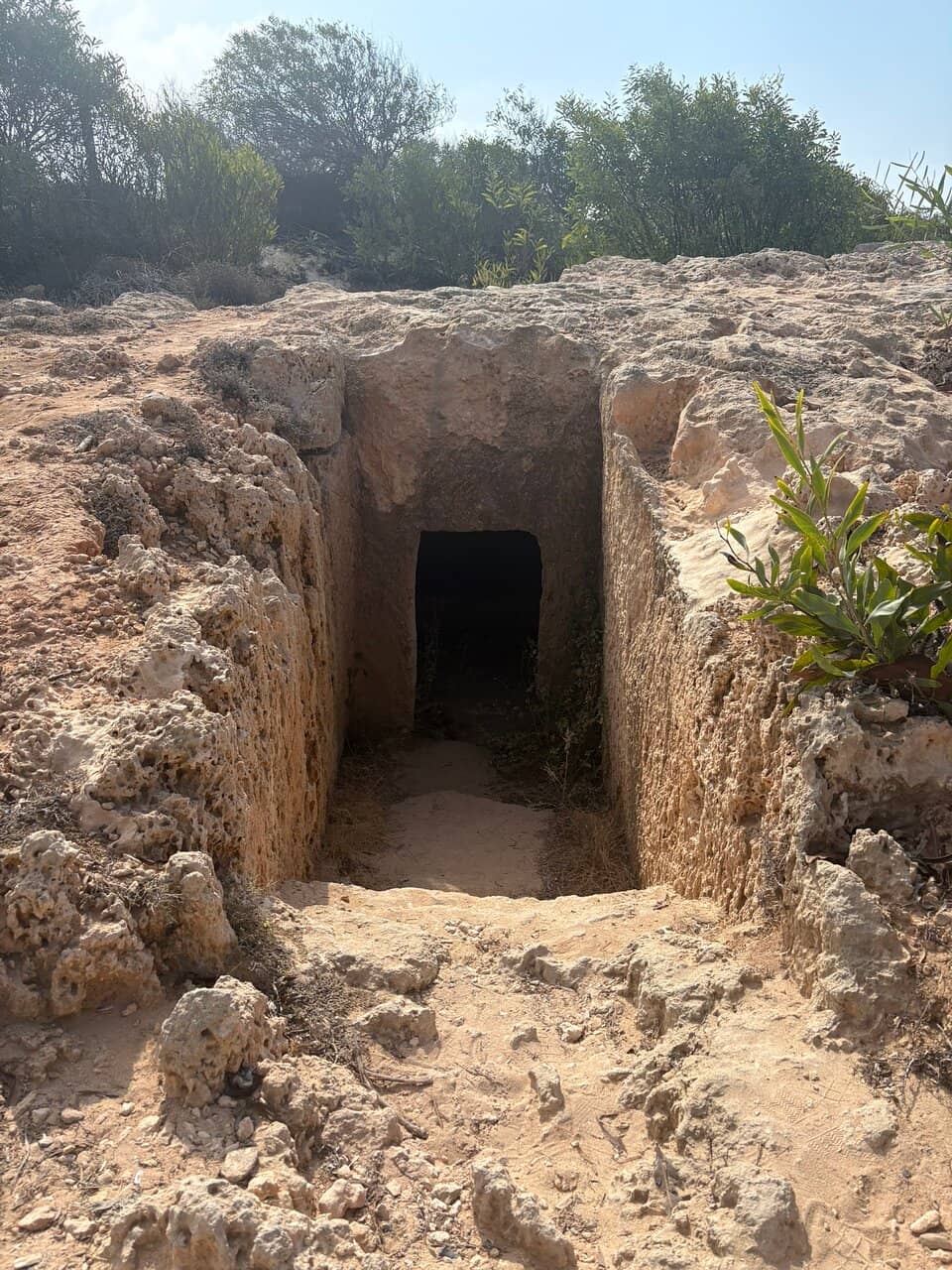 Ancient Sanctuary Ruins