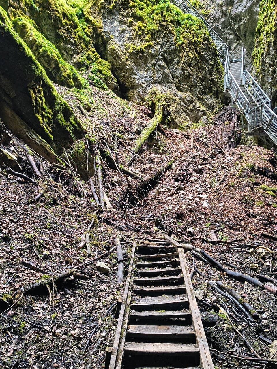 The Grand Staircase