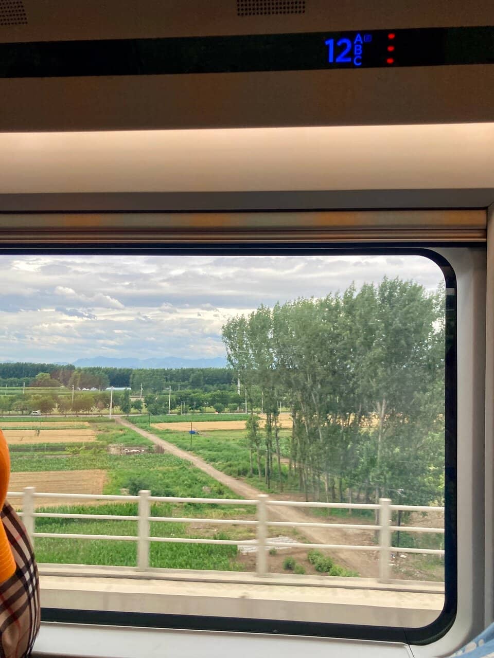 Trans-Mongolian Express Arrival