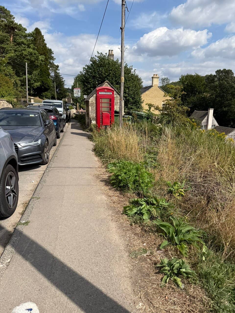 Ambitious Gastropub Fare