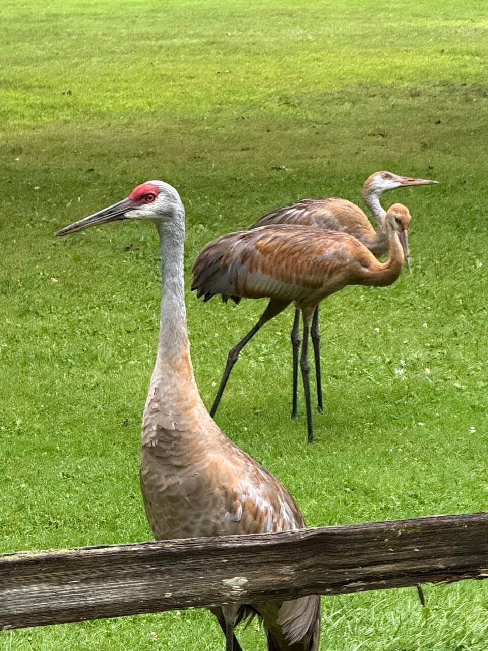 Splash 'n Blast Water Park