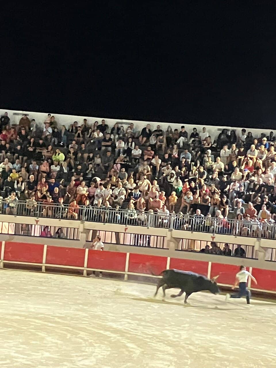 Course Camarguaise