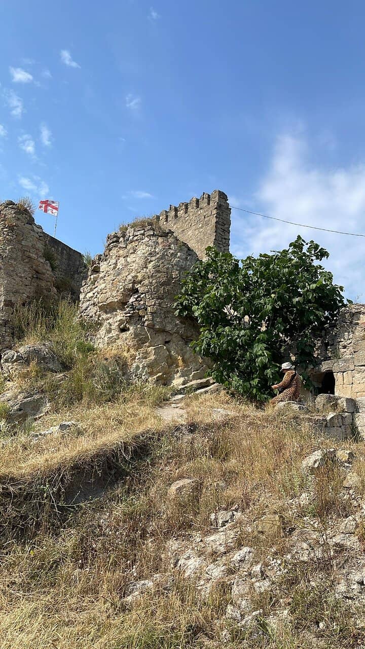 Vertical photo