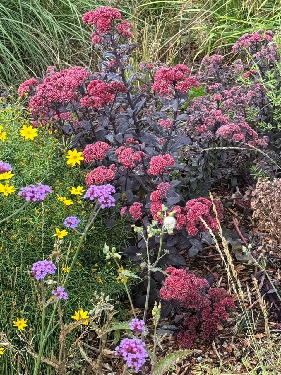 Formal Gardens