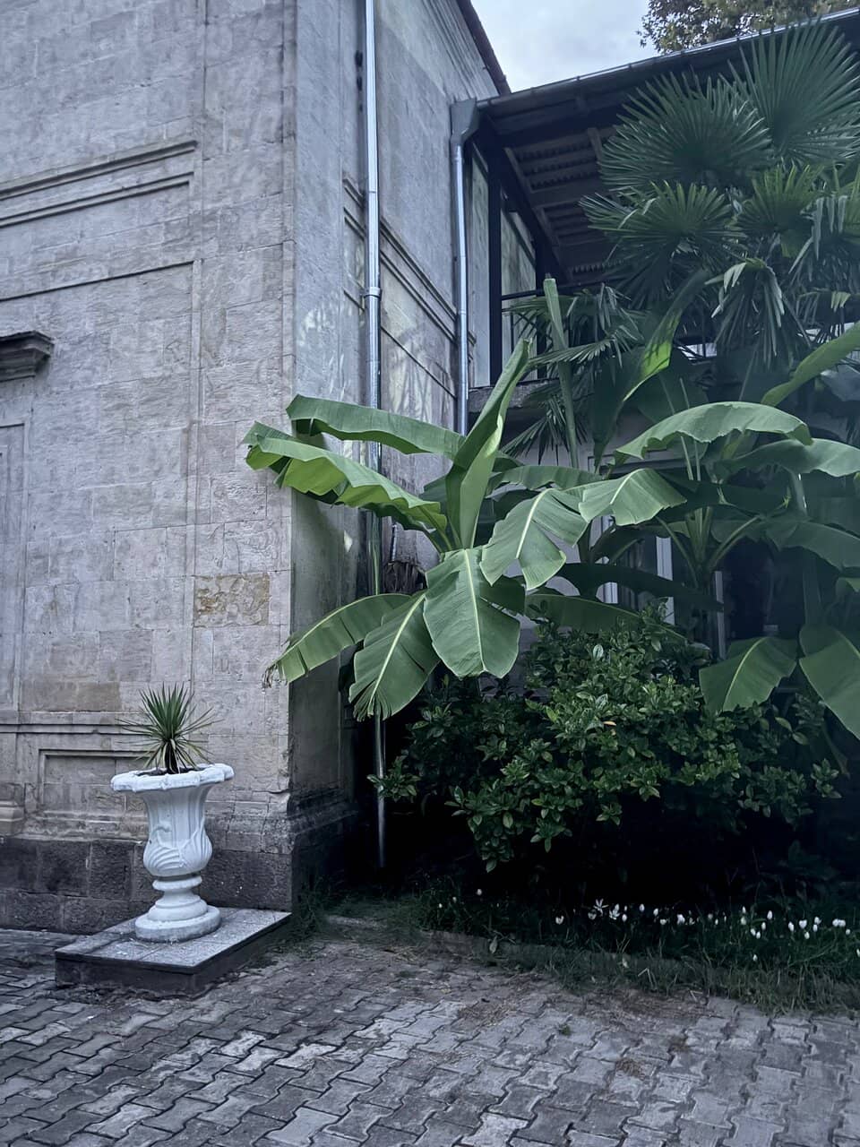 Tranquil Greenery