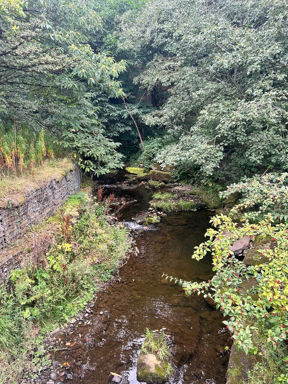 The Confluence