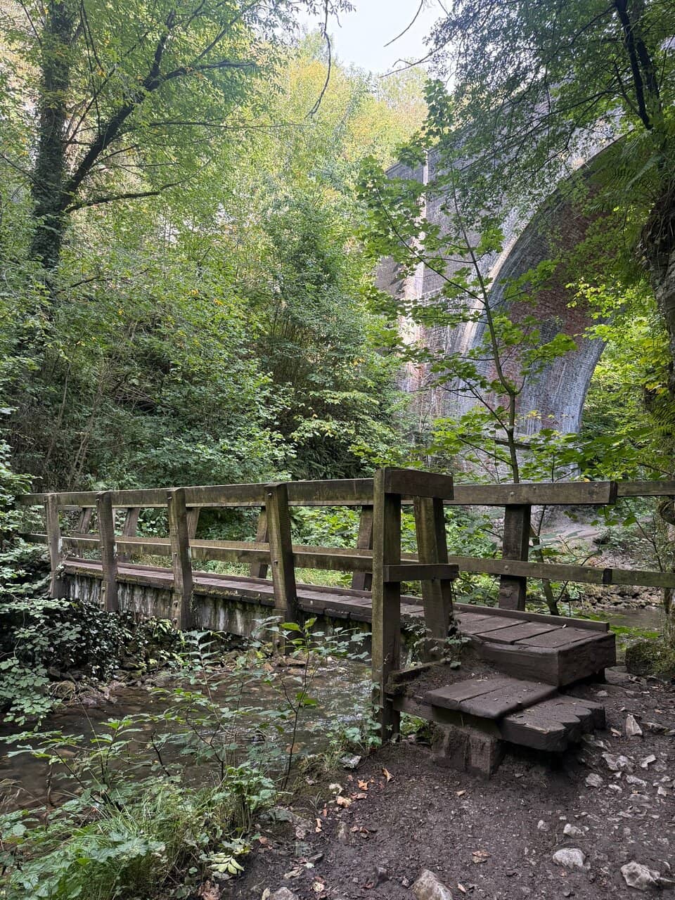Limestone Gorge Scenery