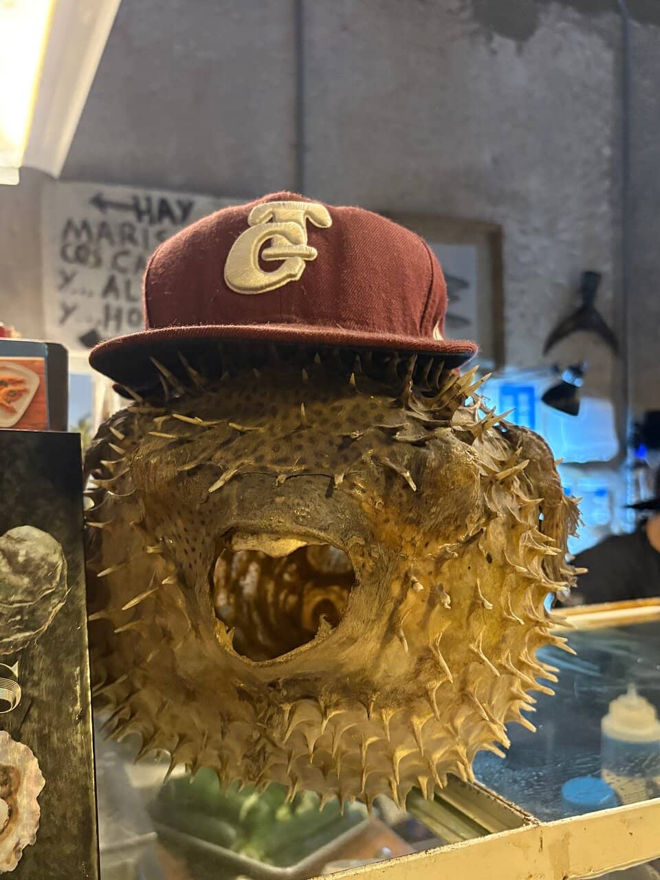 Vibrant & Fun Atmosphere