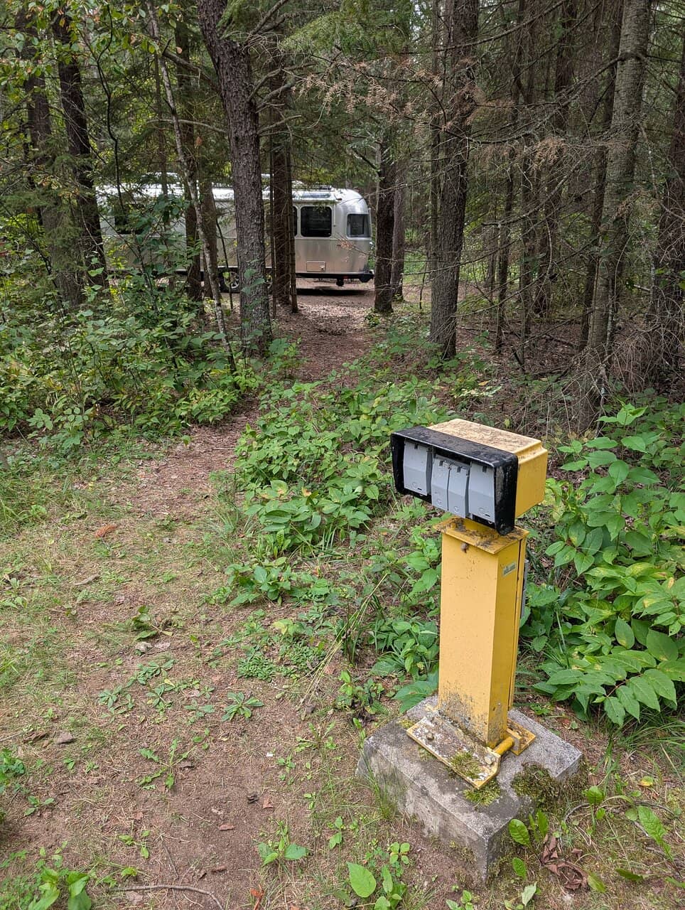 Ancient Fossil Discoveries