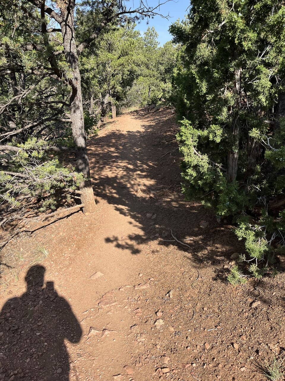 Sangre de Cristo Mountain Views