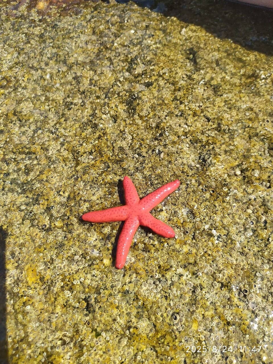 Crystal Clear Waters