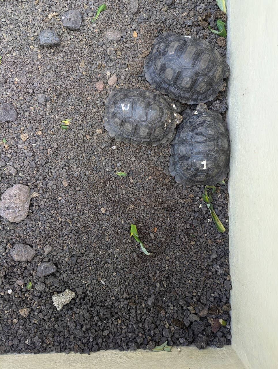 Educational Insights