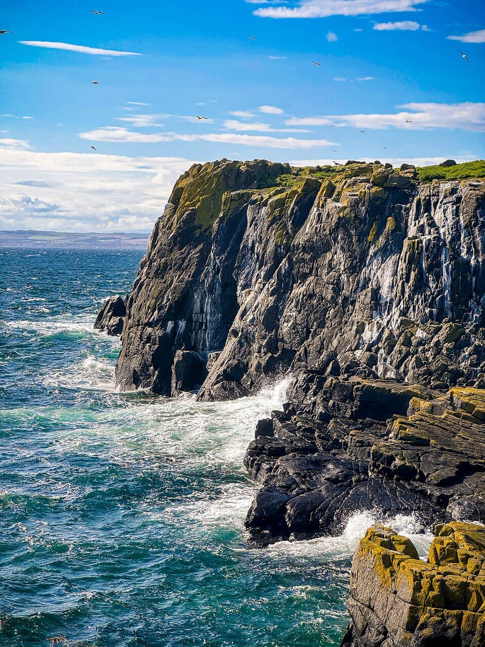 Island History & Views