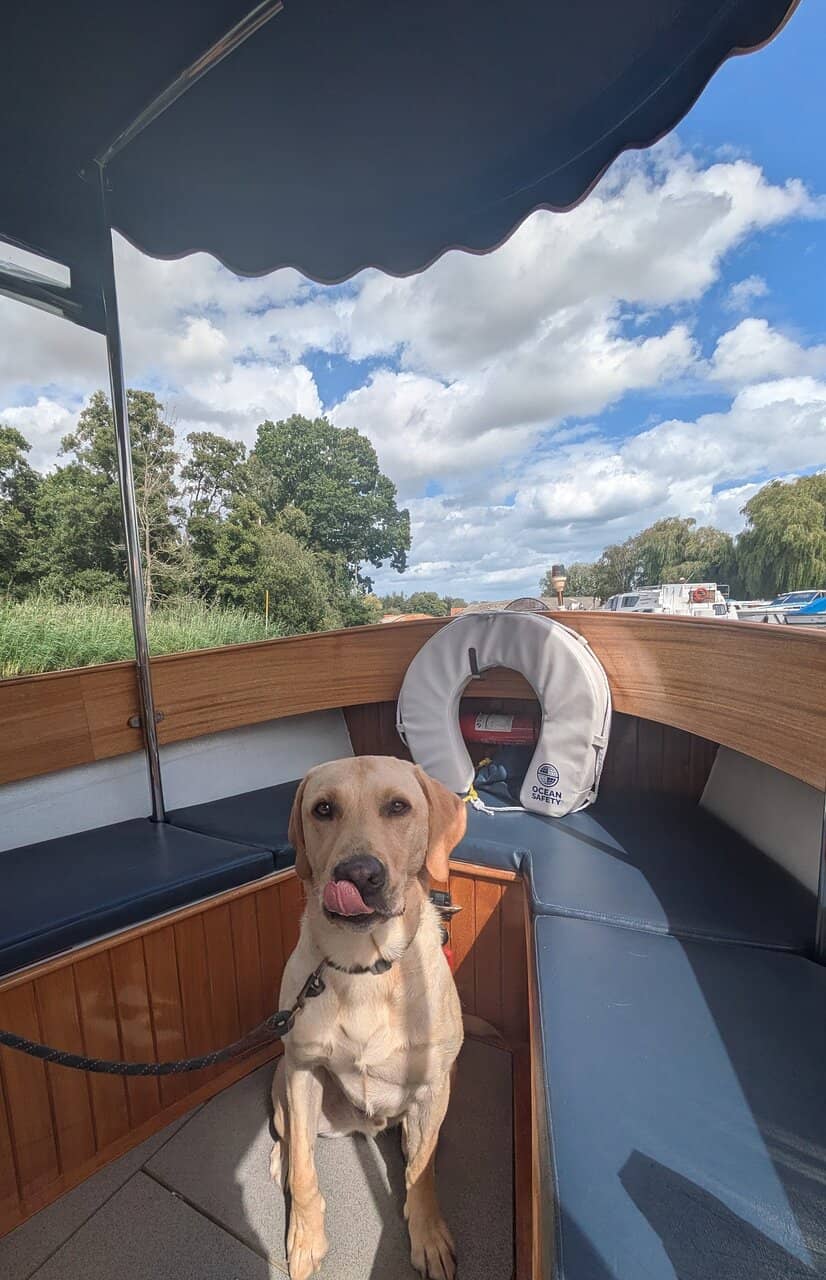 Interactive Exhibits