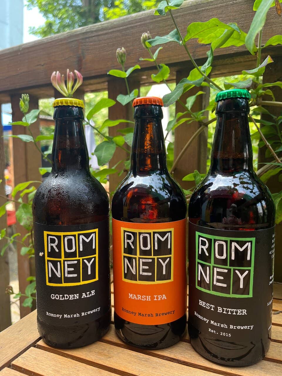 Charming Garden Ambiance