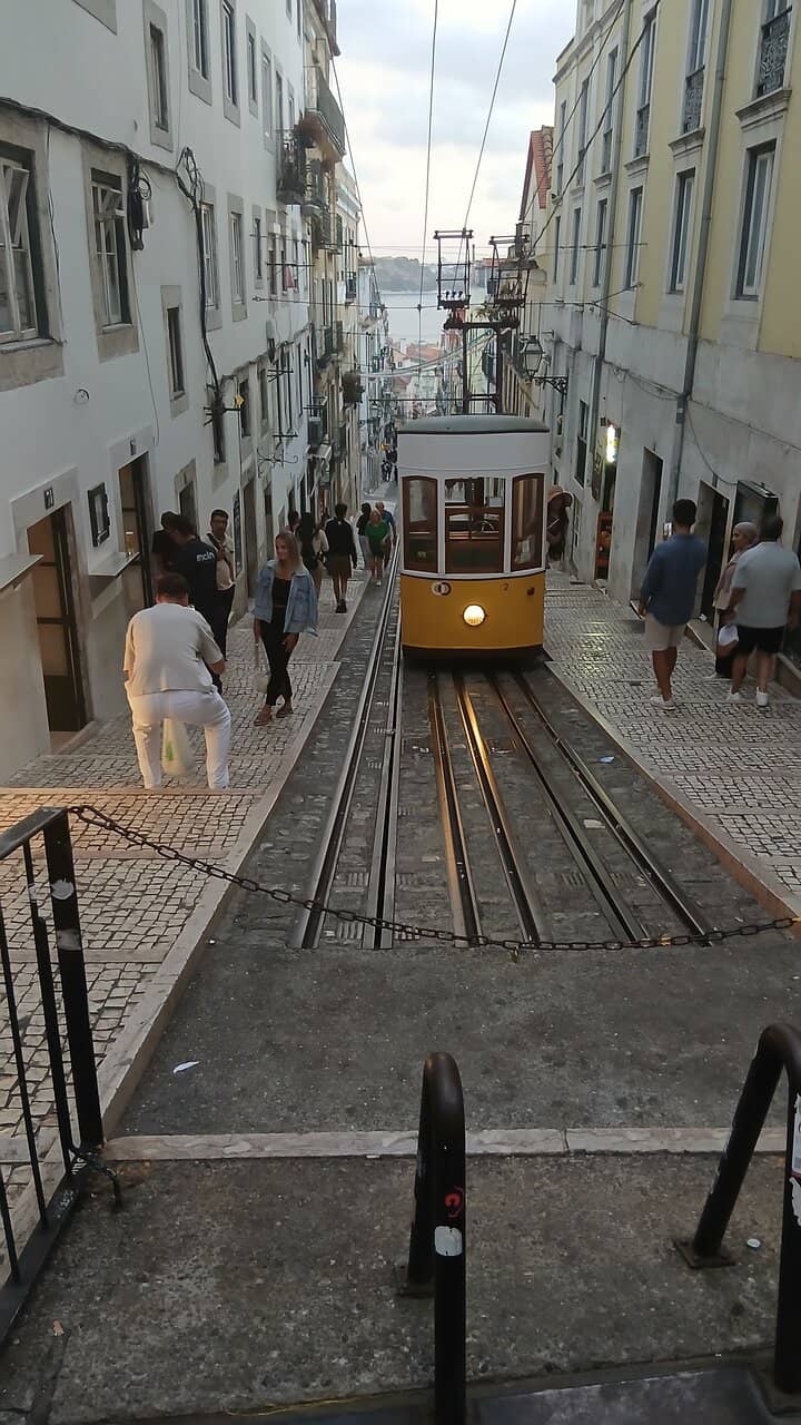 Vertical photo